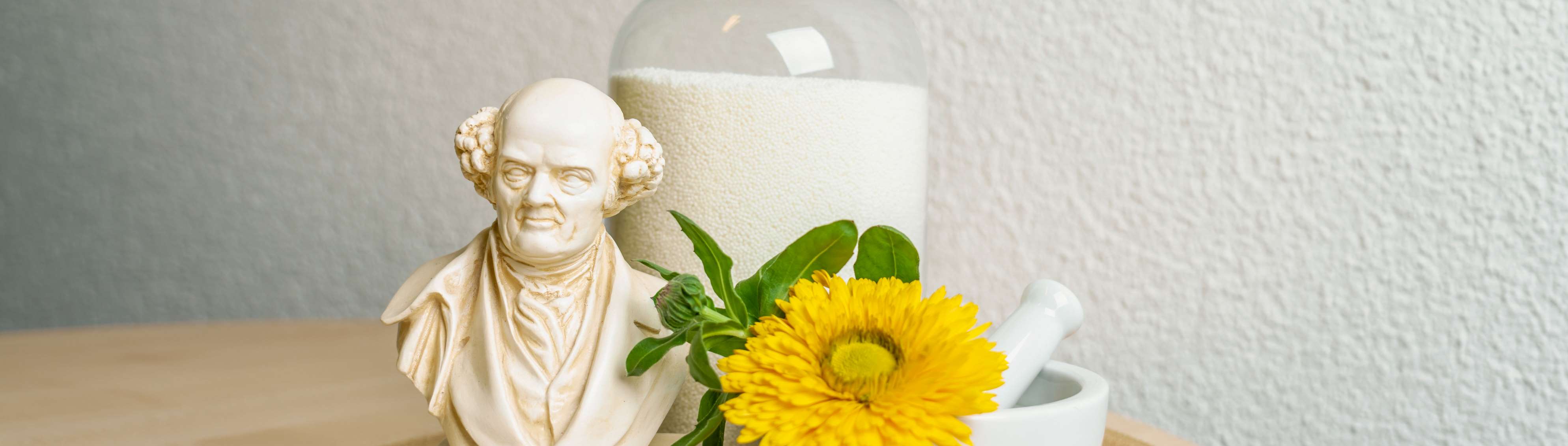 Bild Homöopathie